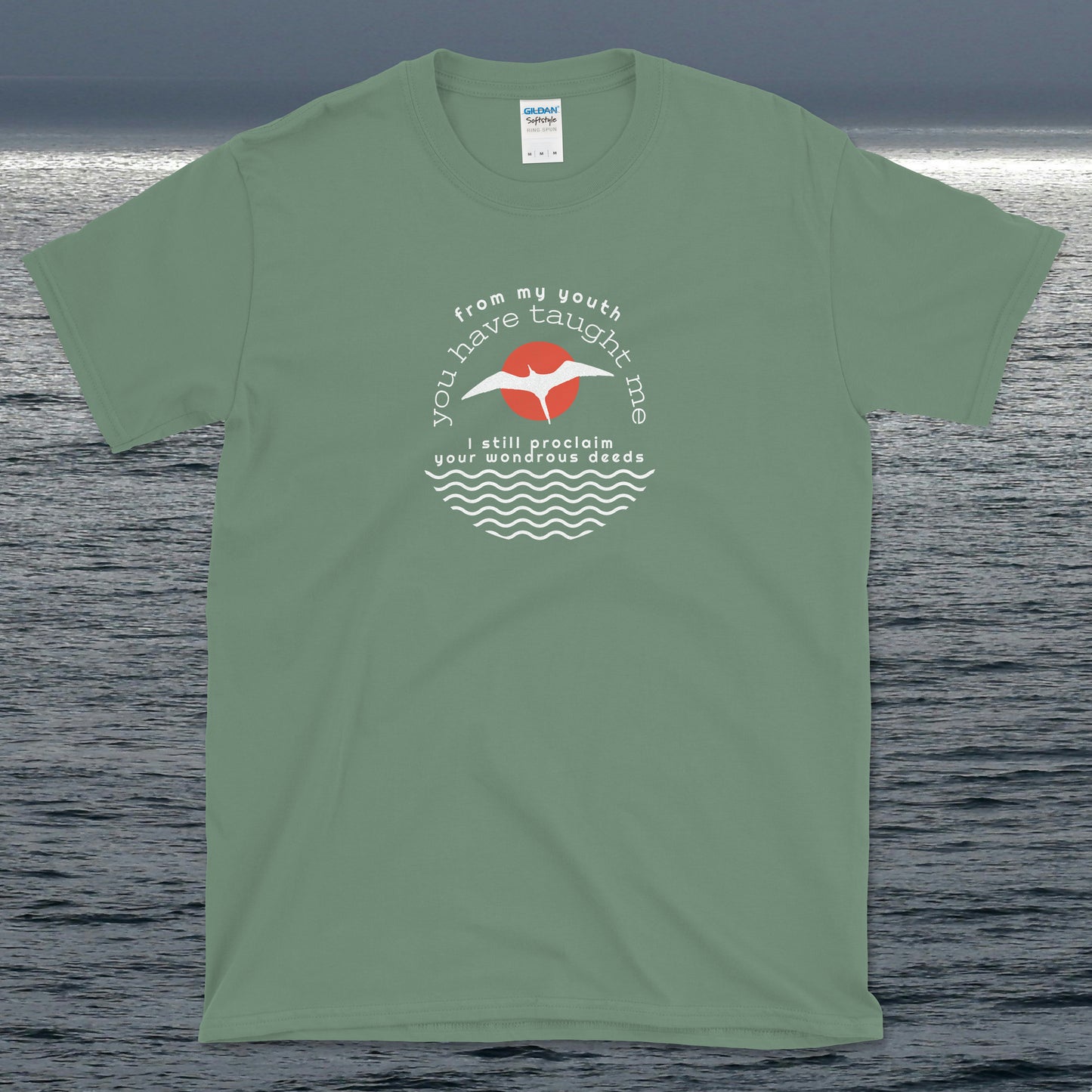 Psalm 71 From My Youth