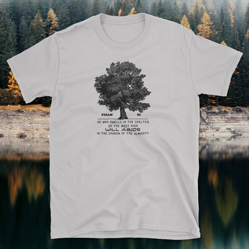 Psalm 91 He Who Dwells