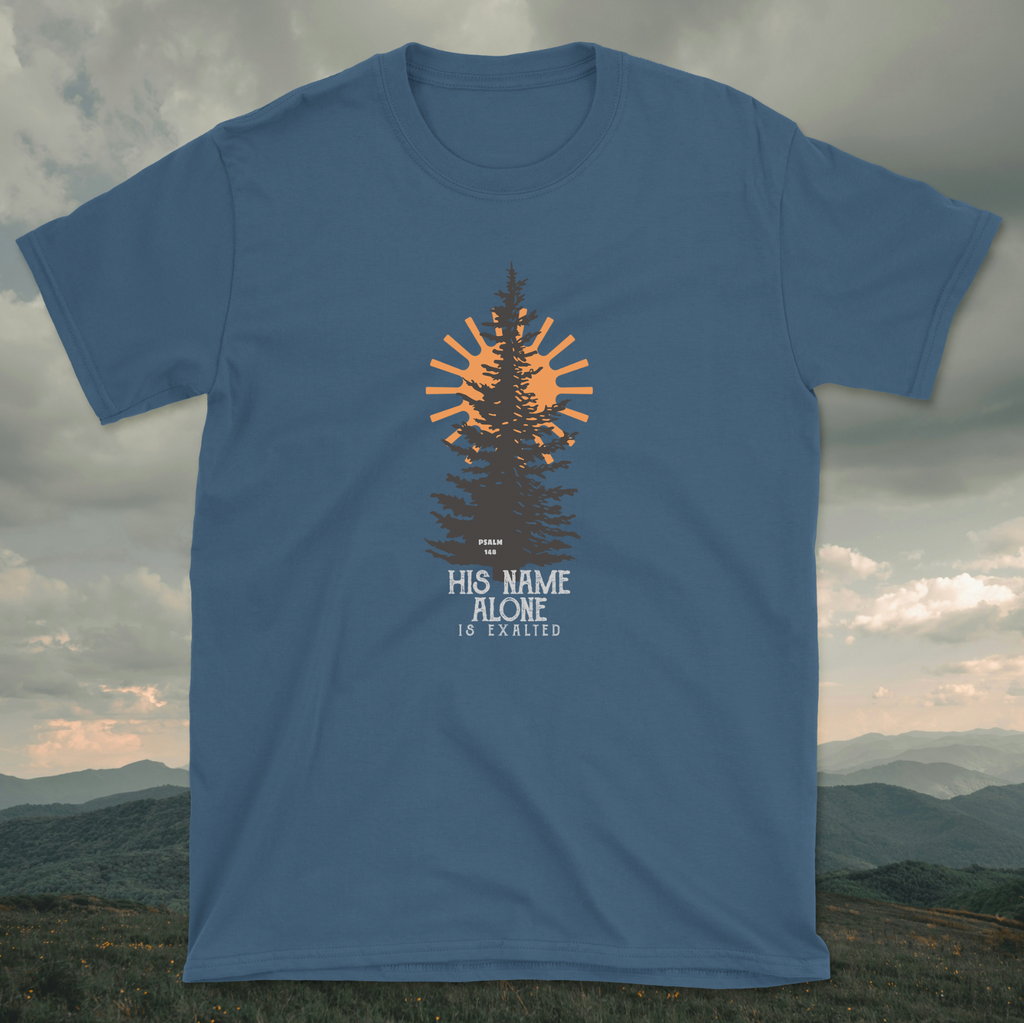 Psalm 148 - His Name Alone