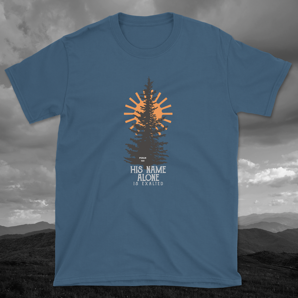 Psalm 148 - His Name Alone