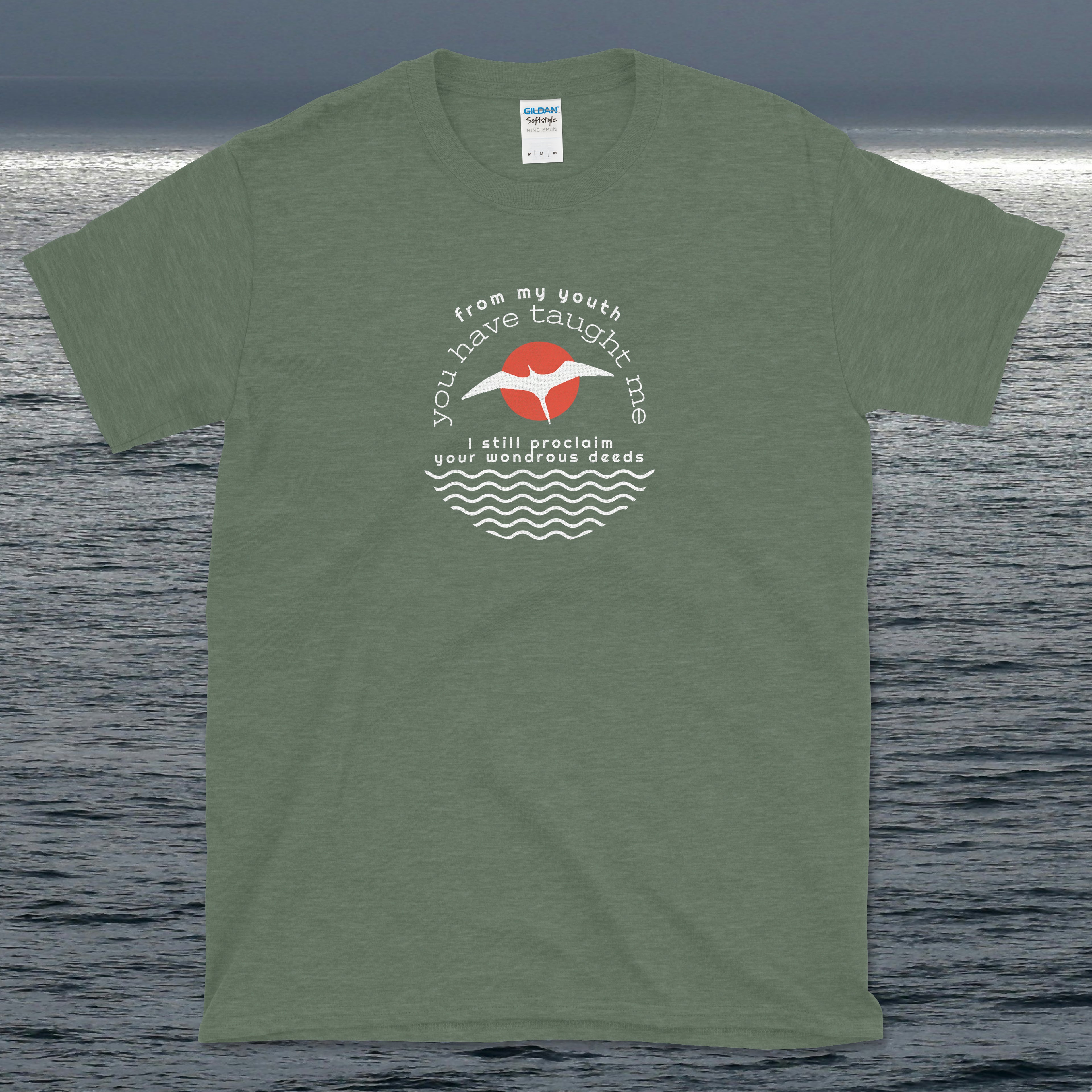 Psalm 71 From My Youth