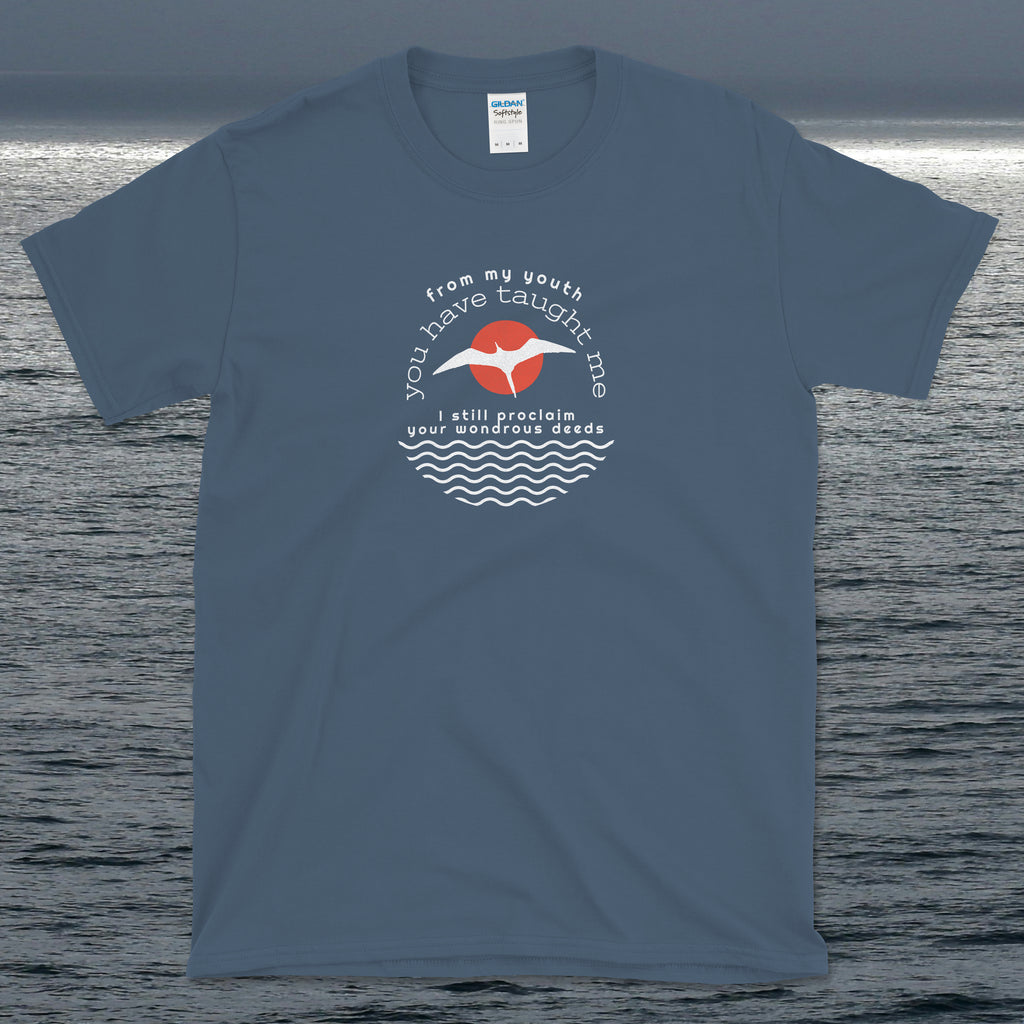 Psalm 71 From My Youth