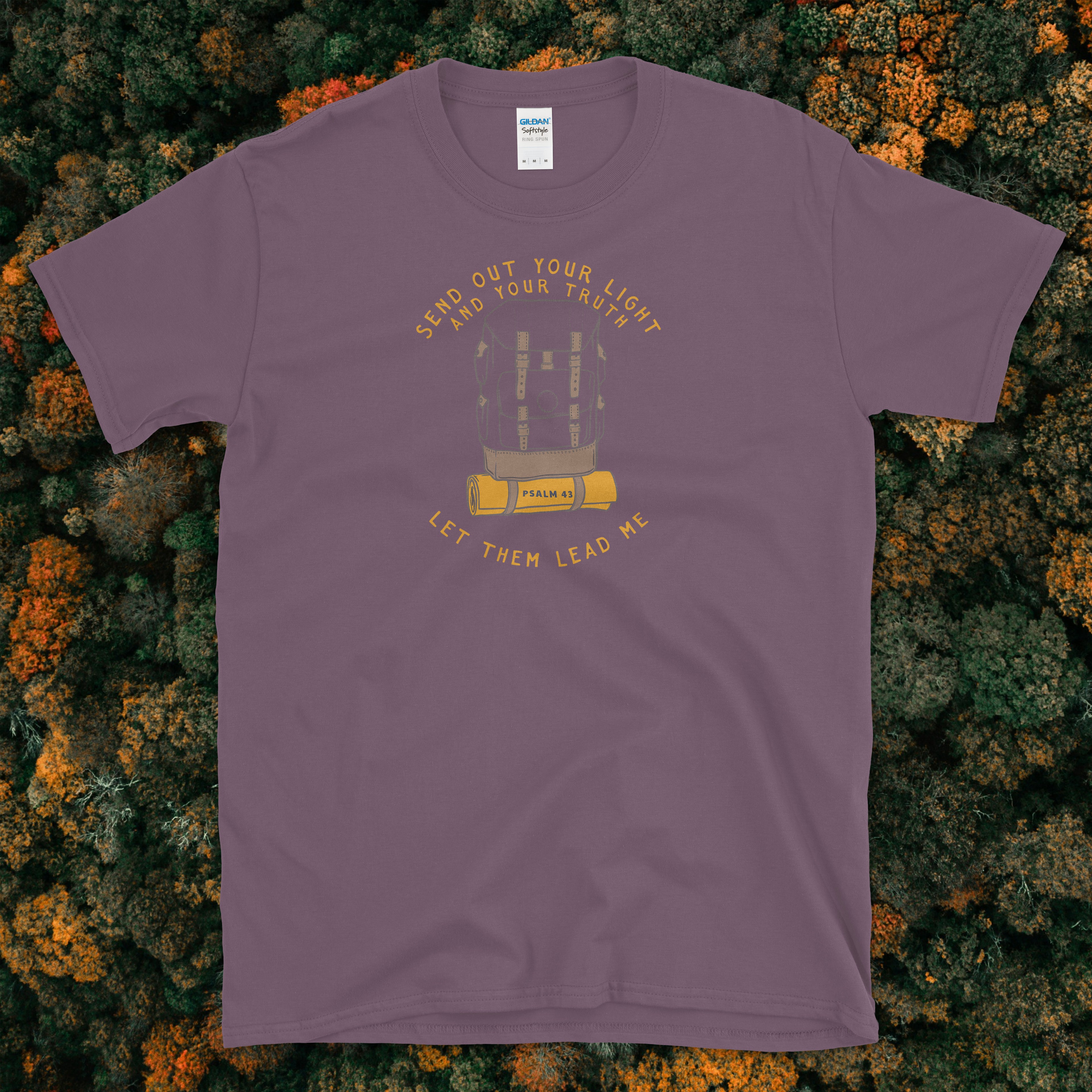 Psalm 43 Send Out Your Light