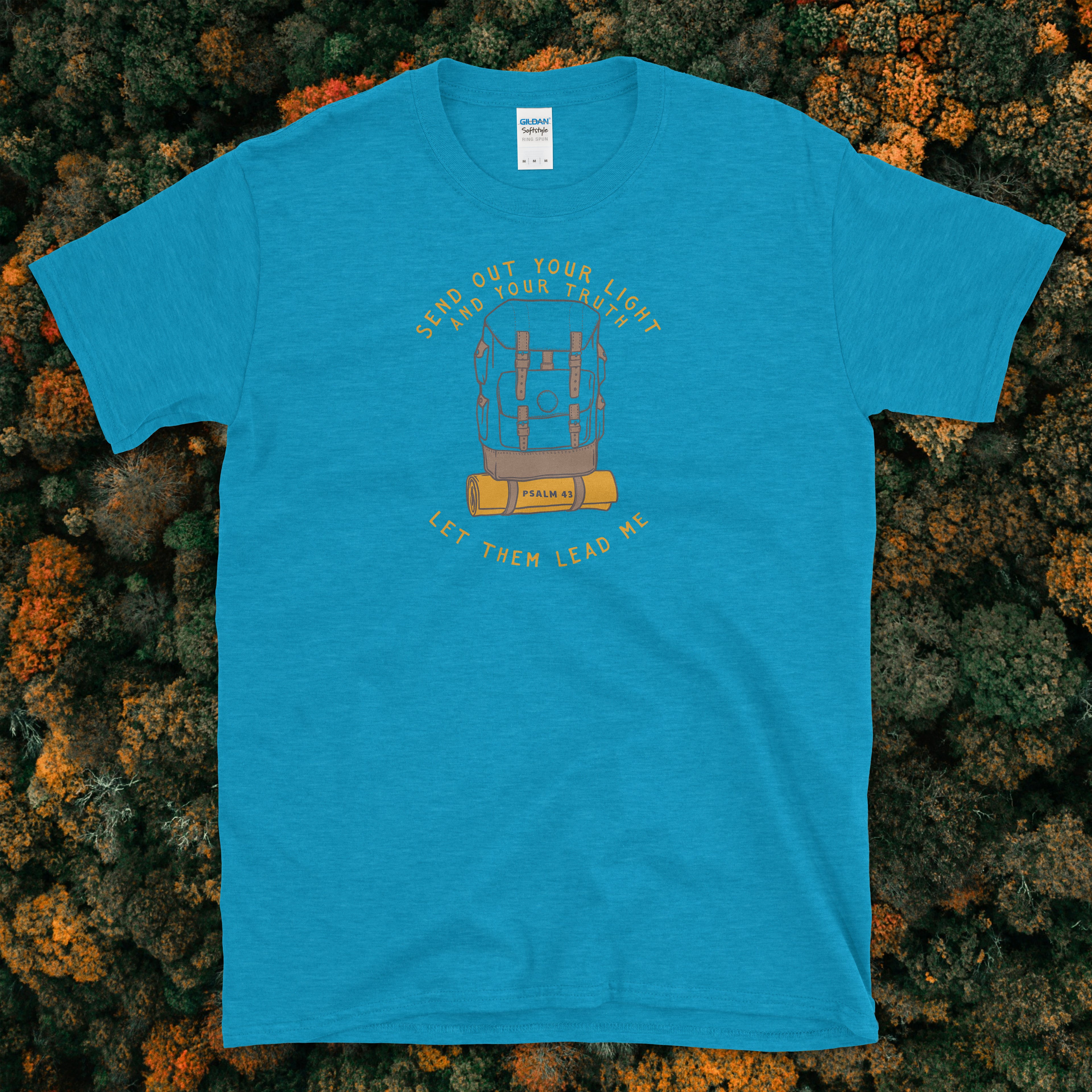 Psalm 43 Send Out Your Light