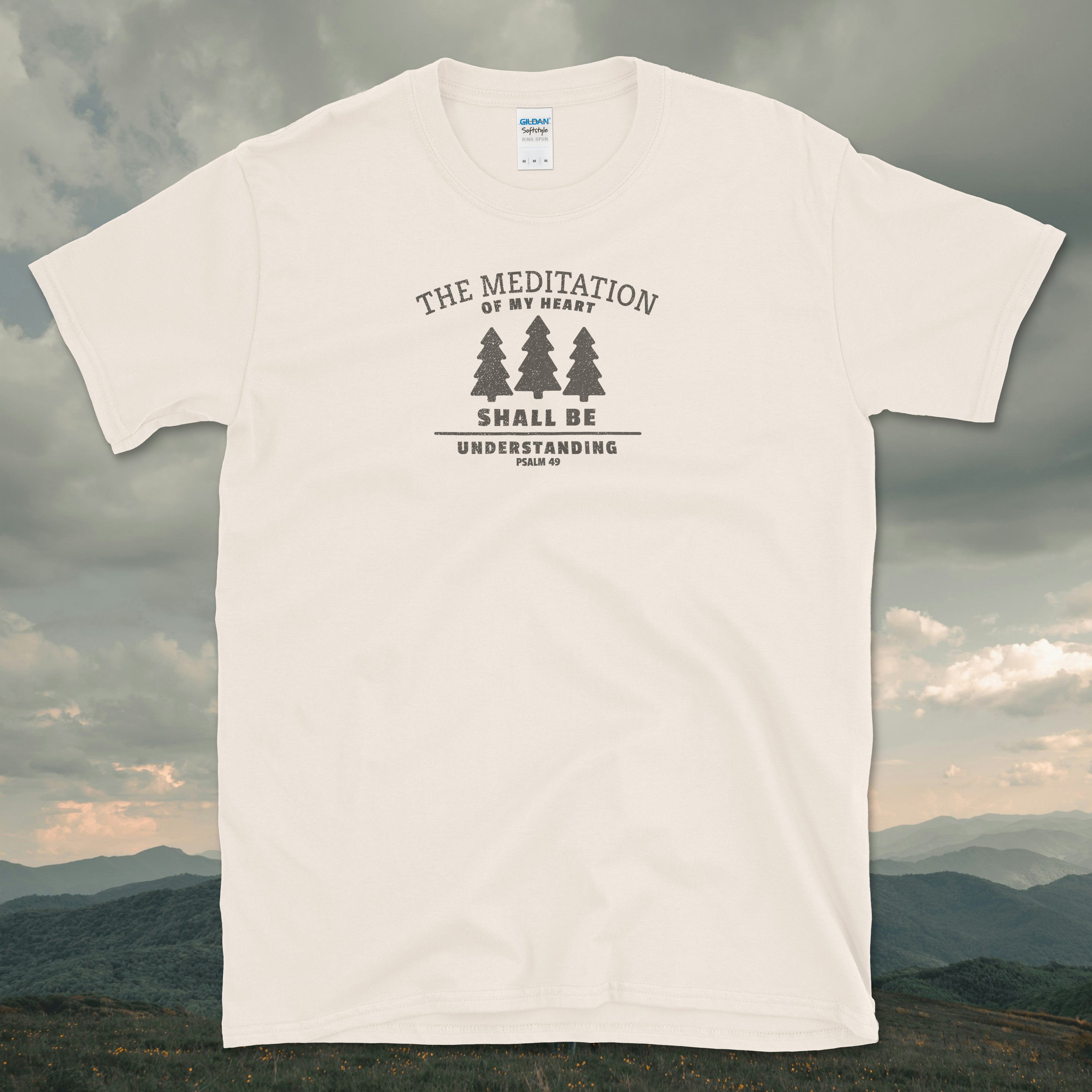 Psalm 49 The Meditation of My Heart