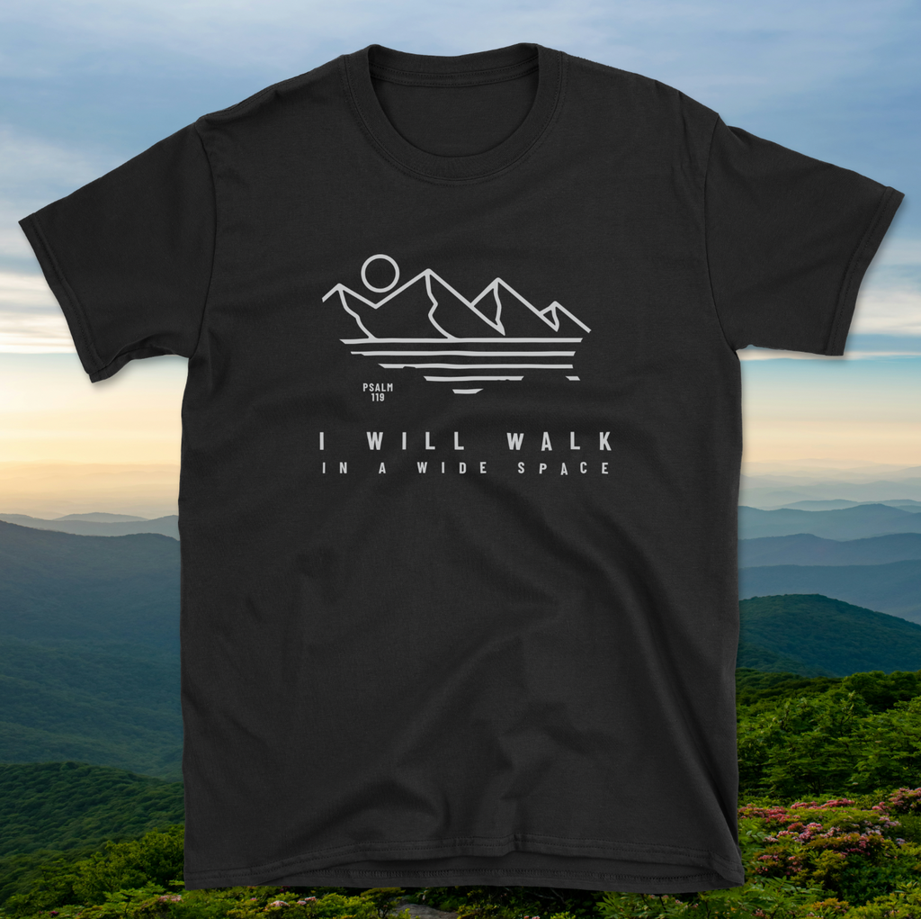 Psalm 119 I Will Walk In A Wide Space